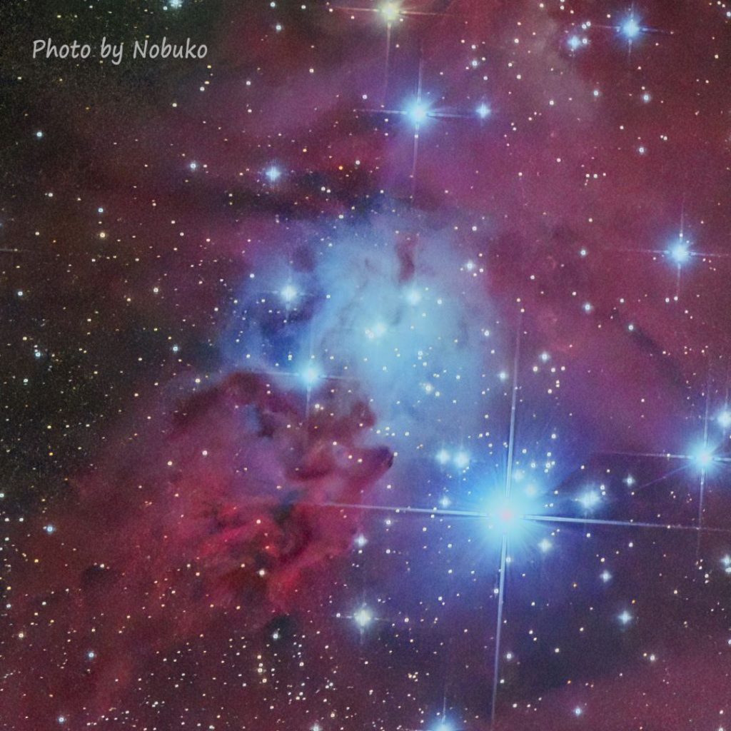 狐の毛皮星雲ﾄﾘﾐﾝｸﾞ_NGC2264 _クリスマスツリー星団/雪の結晶星団（スノーフレーク星団）/狐の毛皮星雲_いっかくじゅう座