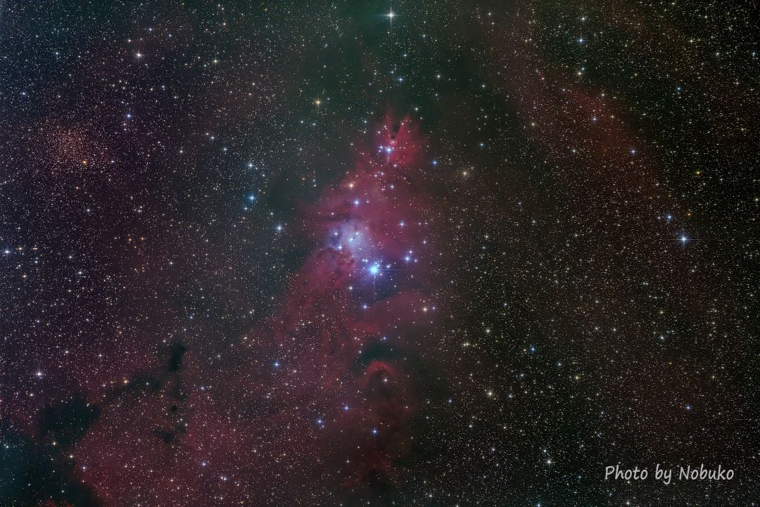 NGC2264/Sh2-273_クリスマスツリー星団/コーン星雲/狐の毛皮星雲_いっかくじゅう座