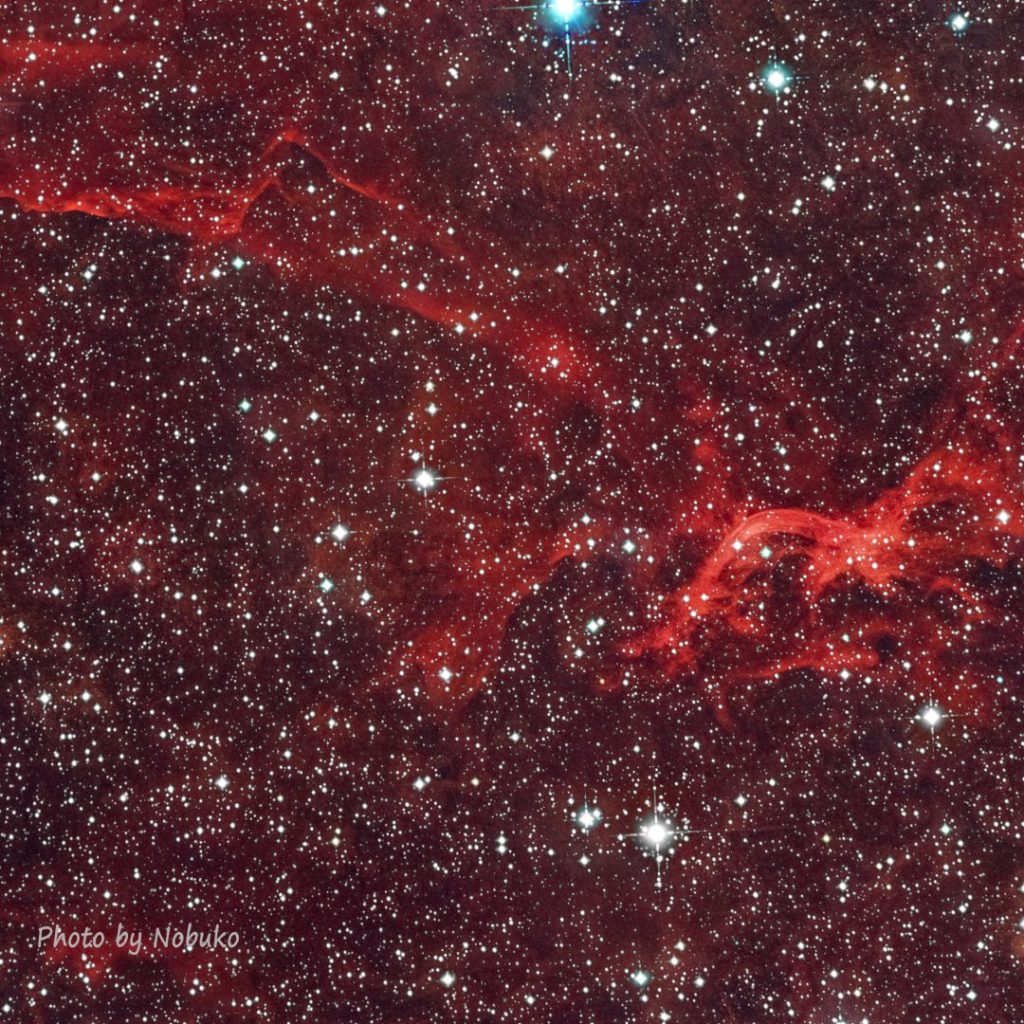 ASI533_HE__P比(明)合S114ﾚｯﾄﾞﾄﾞﾗｺﾞﾝ-1&2_はくちょう座