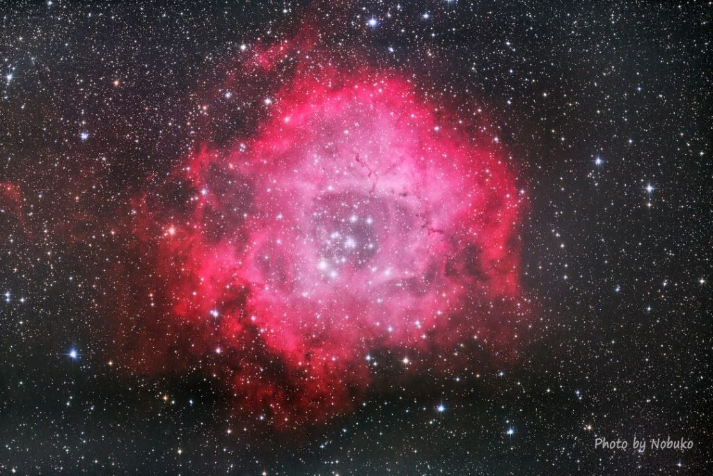 NGC2238bばら星雲全体