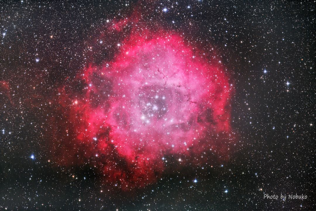 NGC2238_ばら星雲（全体像）_散光星雲_いっかくじゅう座