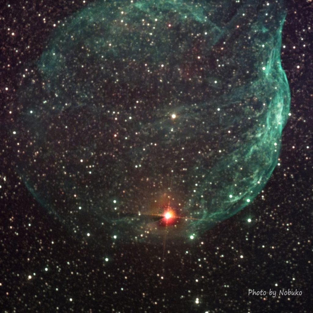 ASI533_DBP_D-s-n_Ps合成_sh2-308_ﾄﾞﾙﾌｨﾝﾍｯﾄﾞ星雲（ﾐﾙｸﾎﾟｯﾄﾞ星雲)