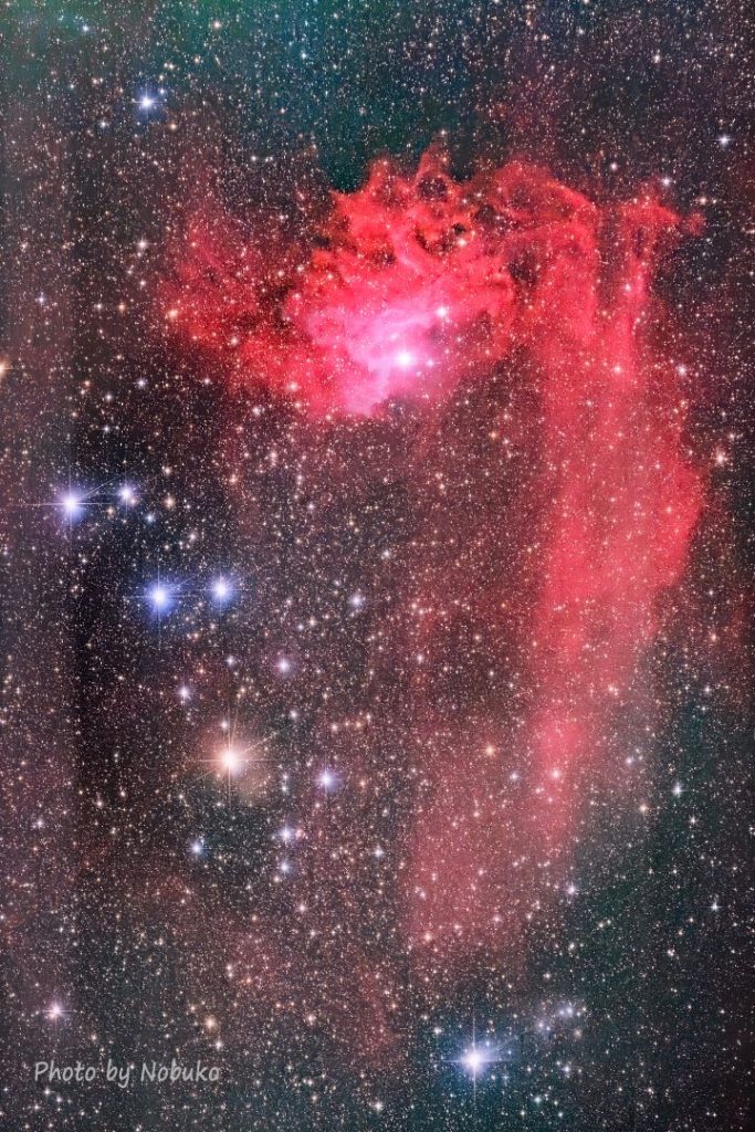 IC405/Sh2-229勾玉星雲/Flaming Star Nebula＆5Stars散光星雲ぎょしゃ座