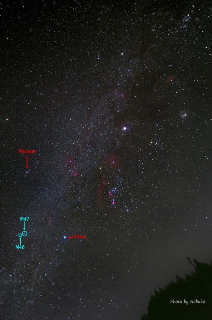 M46M47用tex_冬の天の川(上方北)