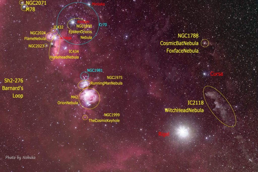 オリオン座_バーナードループ～魔女の横顔星雲_テキスト入り