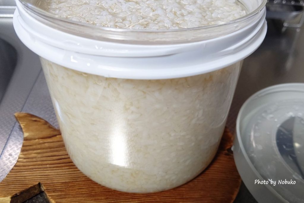 水の中でよくほぐしたご飯に乾燥米麹をまんべんなく混ぜ込んで発酵へ