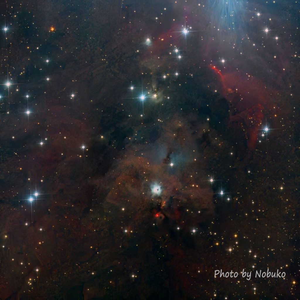 2023_10_ASI533_HE_N1999黒目星雲_ｵﾘｵﾝ座