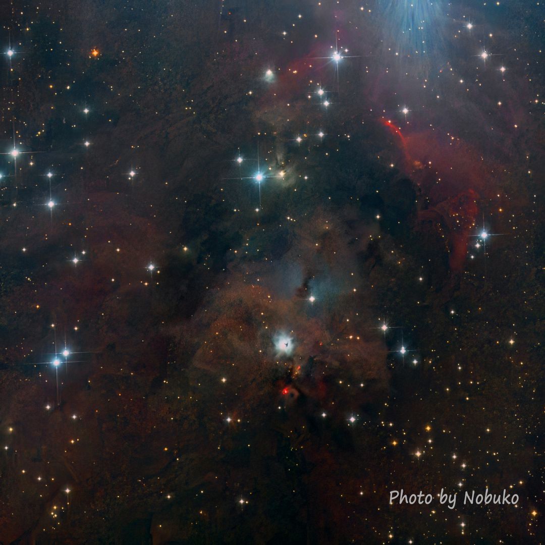 2023_10_ASI533_HE_N1999黒目星雲_ｵﾘｵﾝ座
