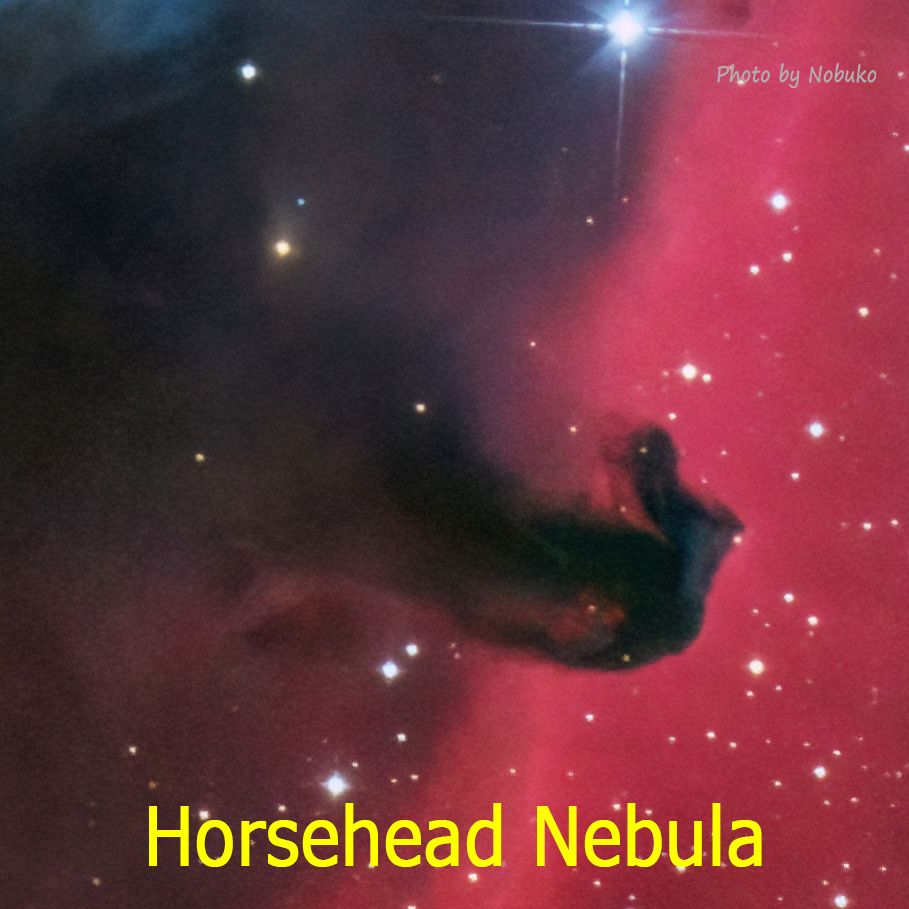 2022_12_ASI533_IC434馬頭星雲_暗黒星雲_ｵﾘｵﾝ座_Jt1-1te_IC434