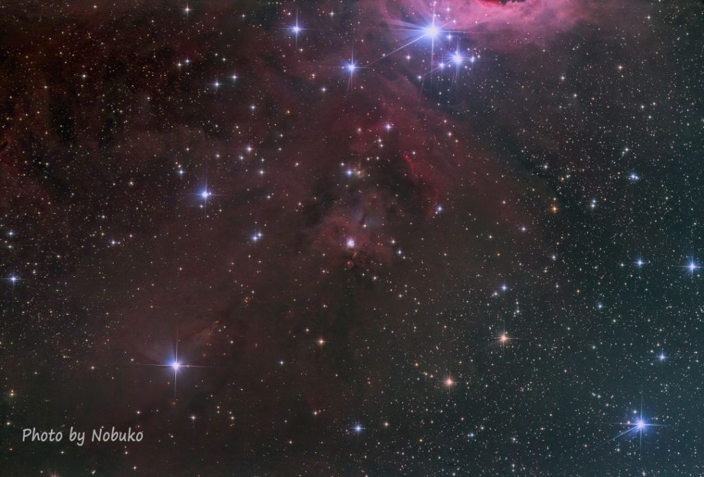 2022_01_6D_NGC1999(13番目の真珠星雲_黒目星雲).