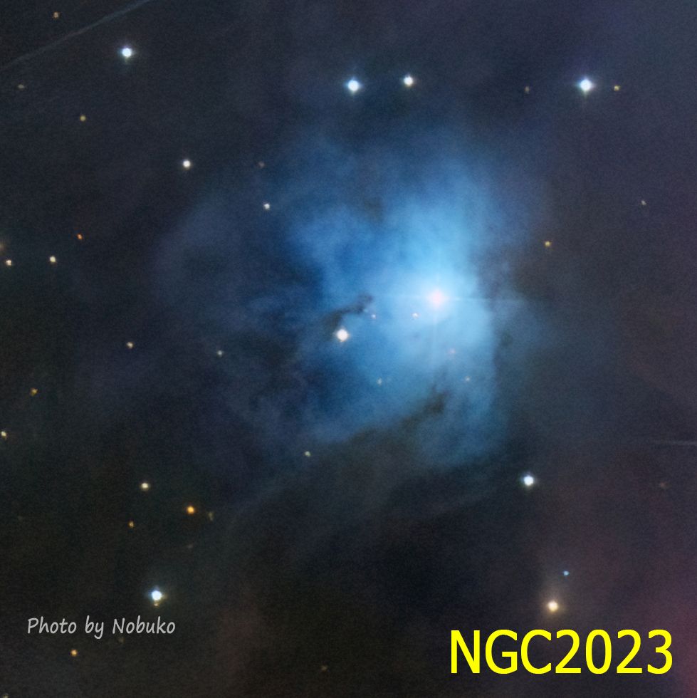 2022_12_ASI533_IC434馬頭星雲_暗黒星雲_ｵﾘｵﾝ座_Jt1-1te_N2023_反射星雲