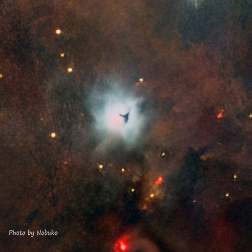 2023_10_ASI533_HE_t1-1強拡大_N1999黒目星雲.