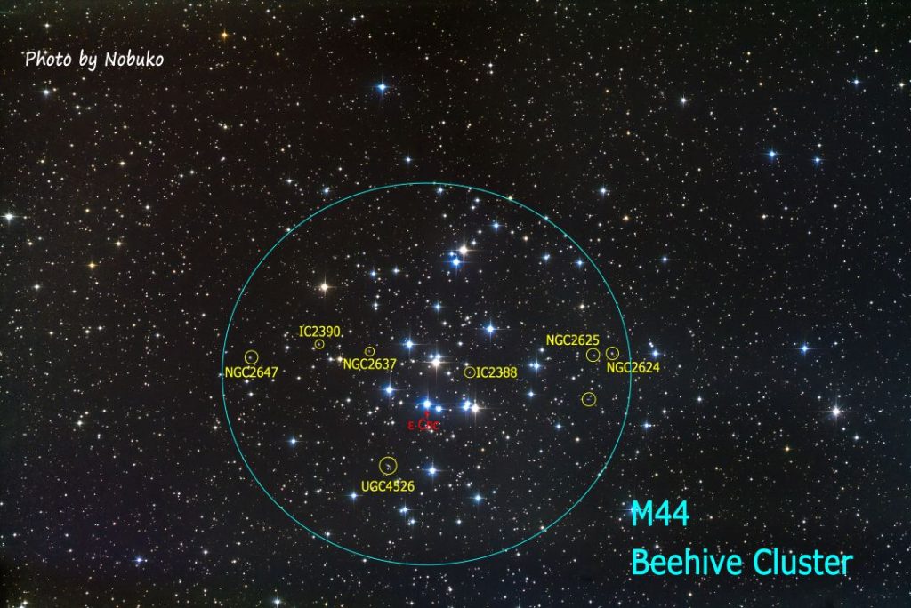 2022_01_6D_te_回Ps_M44ﾌﾟﾚｾﾍﾟ星団_かに座