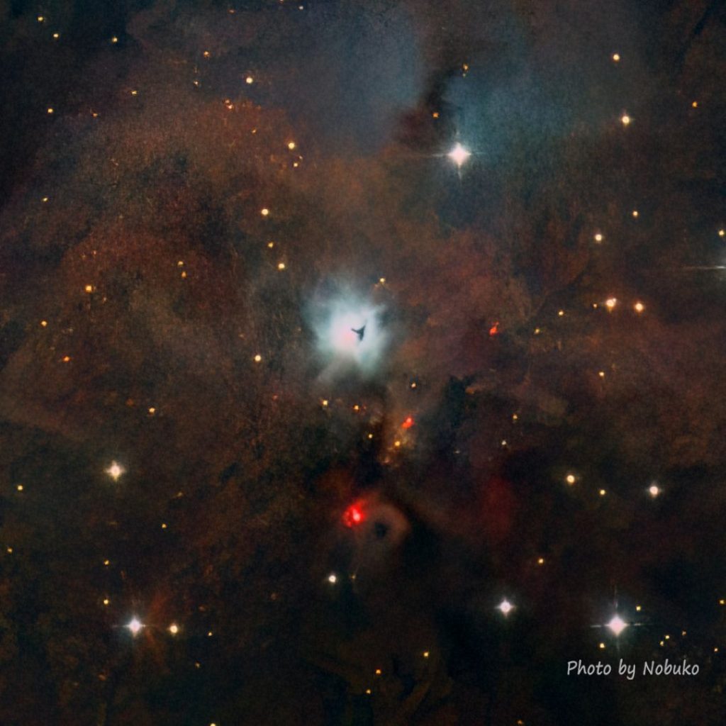 2023_10_ASI533_HE_t1-1_N1999黒目星雲