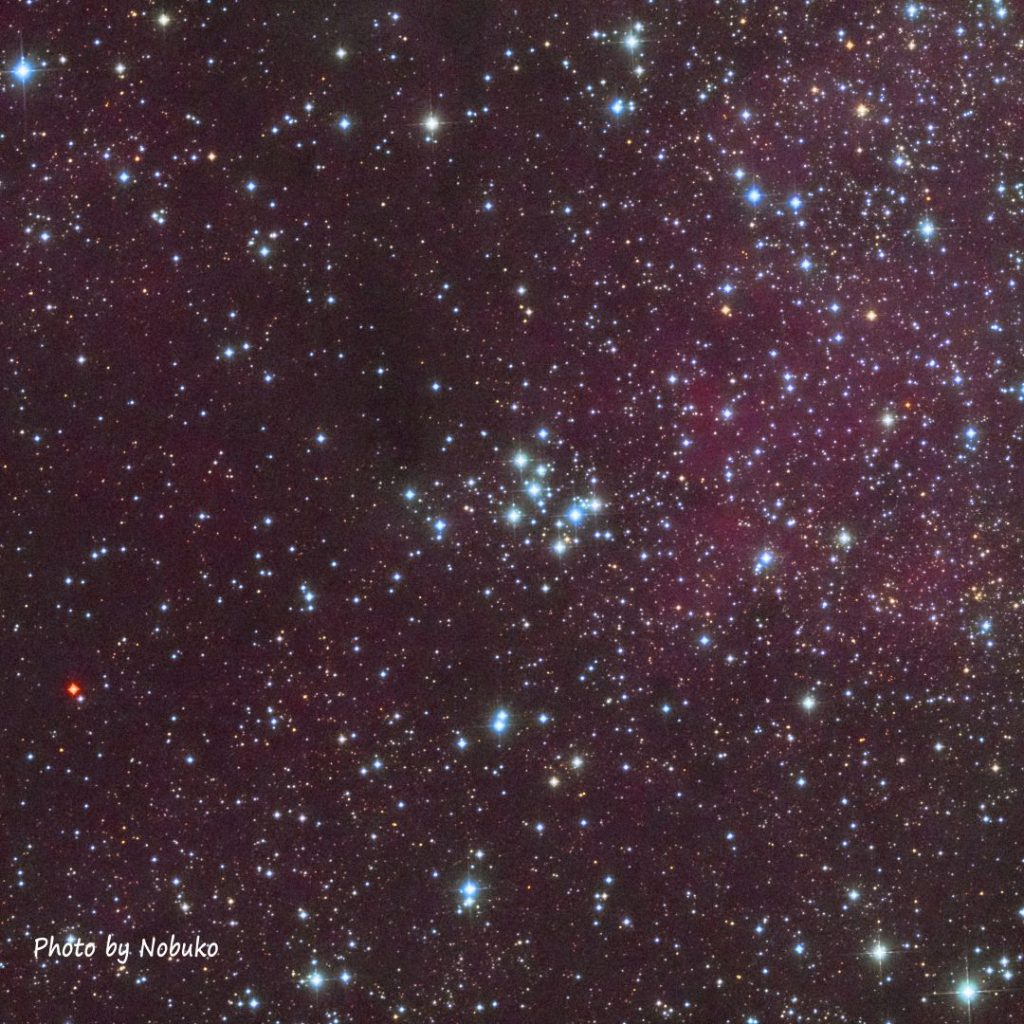 ASI533_M29散開星団_はくちょう座